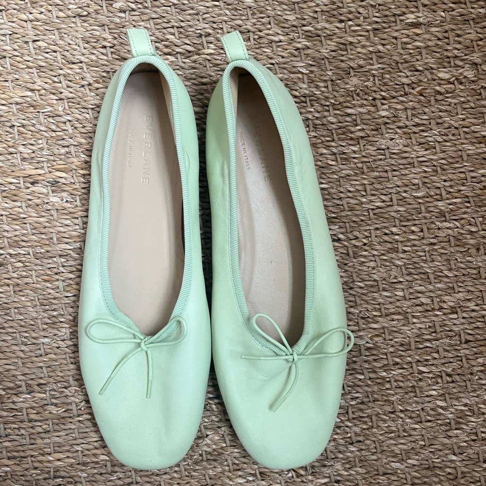 Everlane the Day Ballet Flats